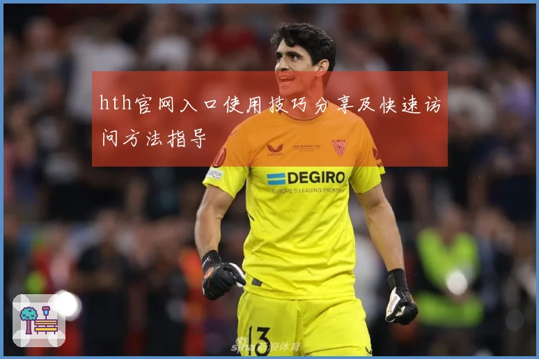 hth官网入口使用技巧分享及快速访问方法指导