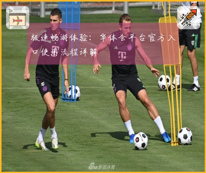 极速畅游体验：华体会平台官方入口使用流程详解
